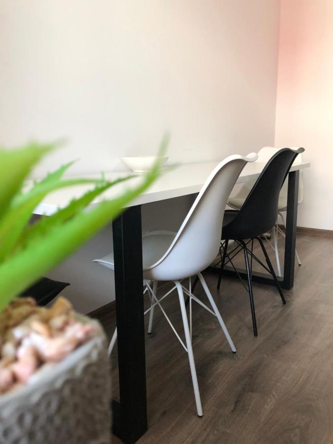 布拉索夫Max Apartament公寓 外观 照片