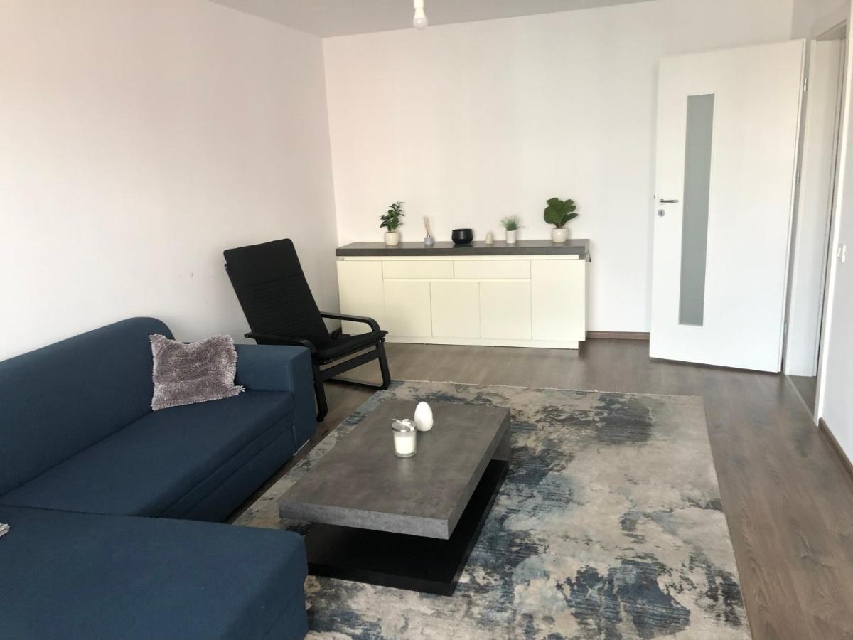 布拉索夫Max Apartament公寓 外观 照片
